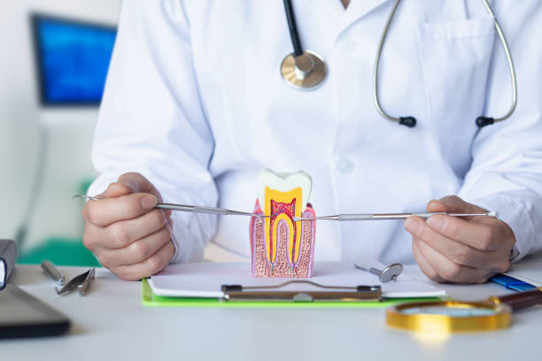 Best Emergency Dental Care for Trauma or Injury in Morgantown, IN